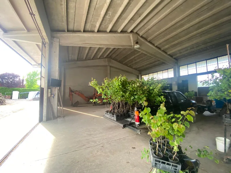 Foto 3 di 20 - Magazzino in vendita a Manerba del Garda