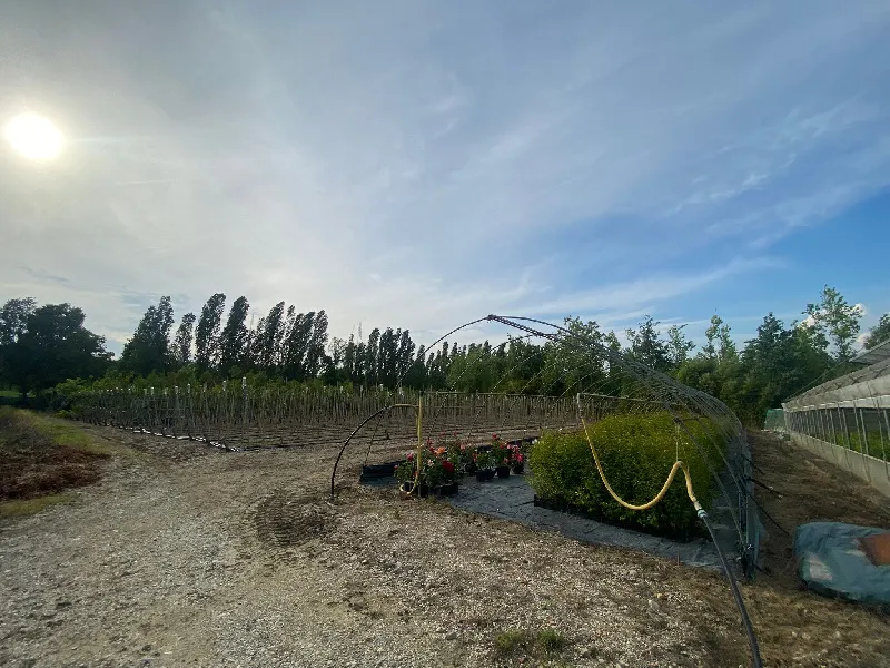 Foto 9 di 20 - Magazzino in vendita a Manerba del Garda