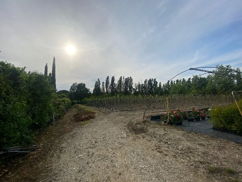 Foto 10 di 20 - Magazzino in vendita a Manerba del Garda