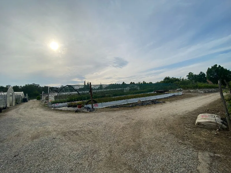 Foto 18 di 20 - Magazzino in vendita a Manerba del Garda