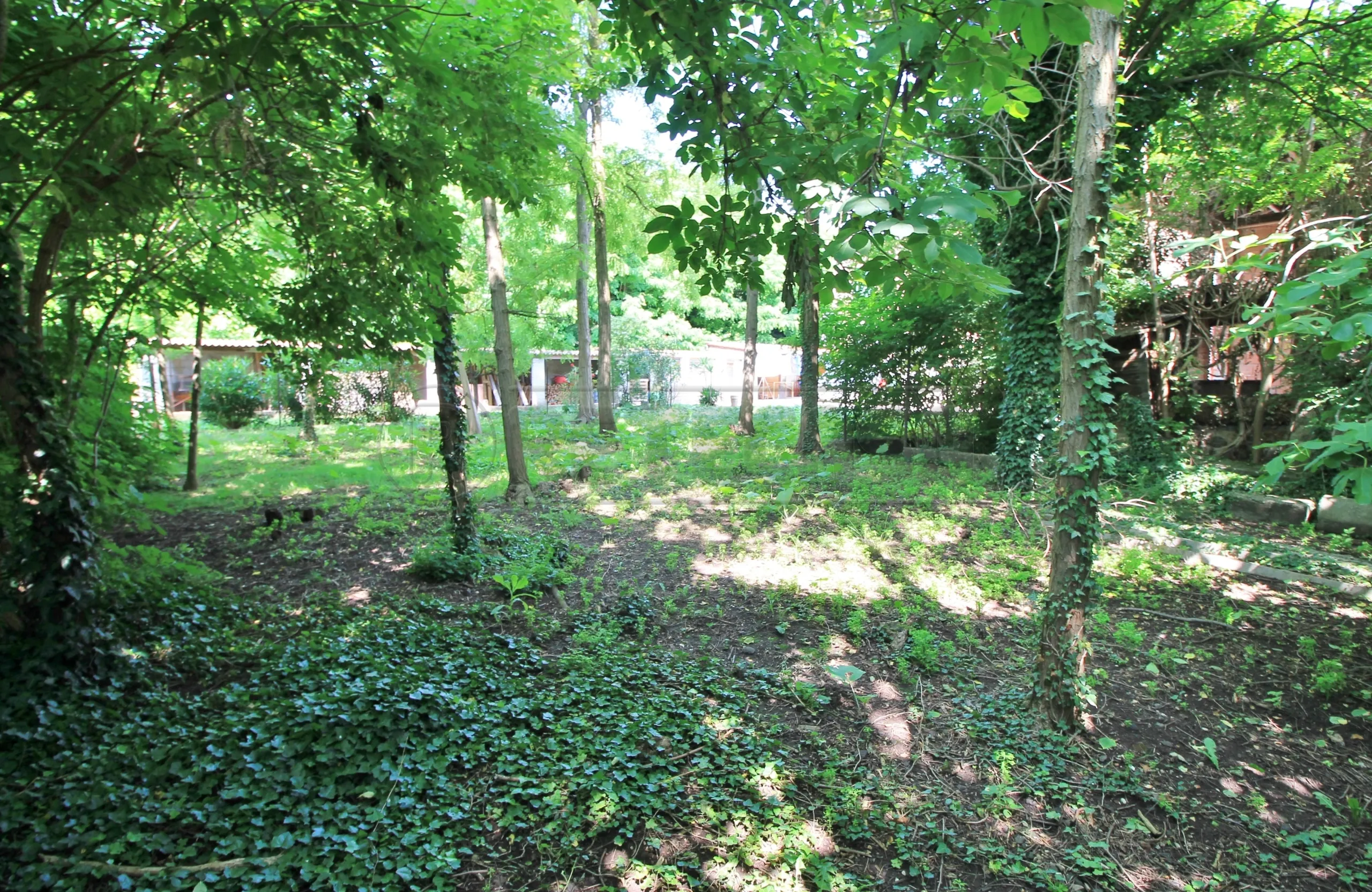 Foto 4 di 5 - Terreno edificabile in vendita a Gambellara