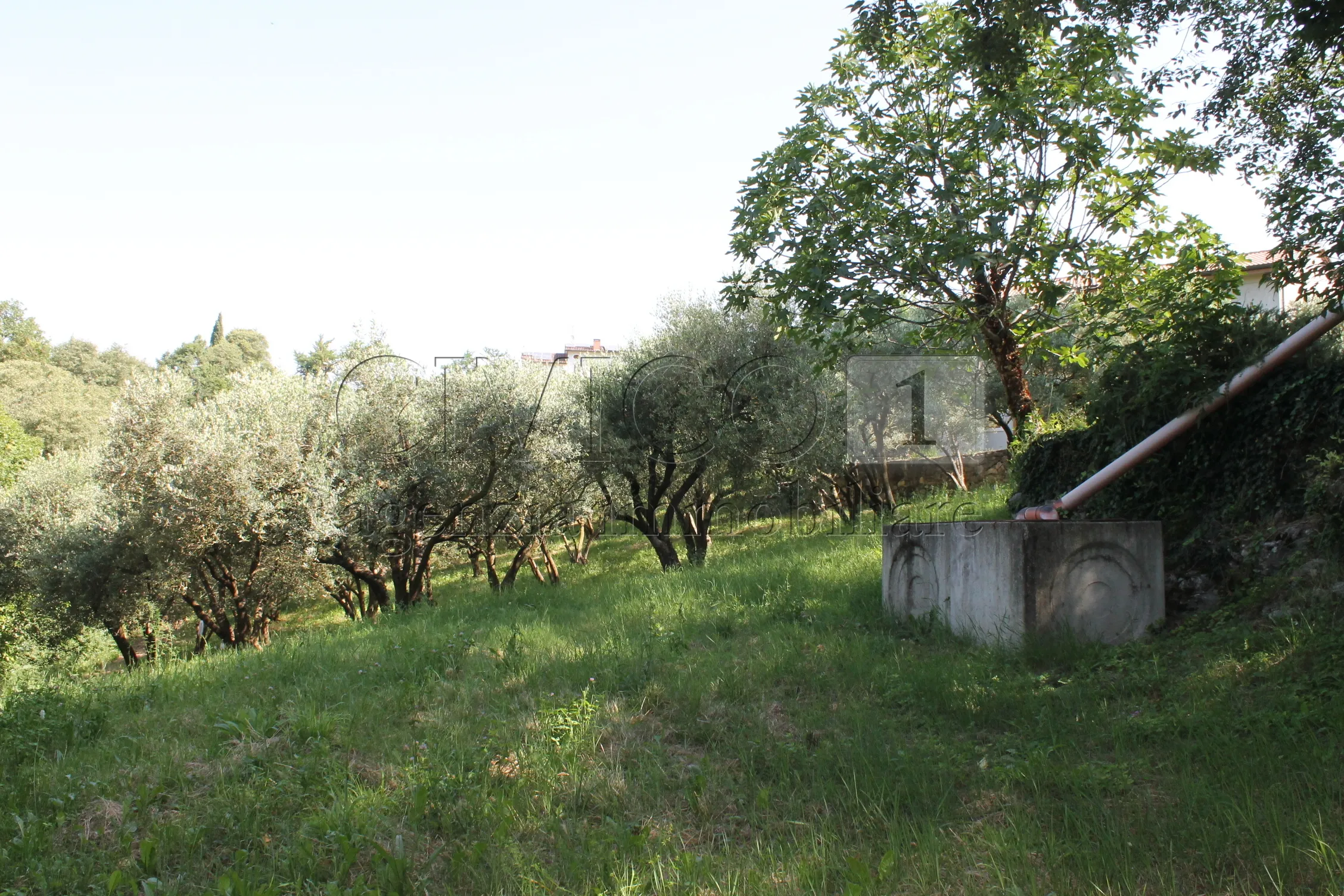 Foto 6 di 32 - Casa indipendente in vendita a Vicenza