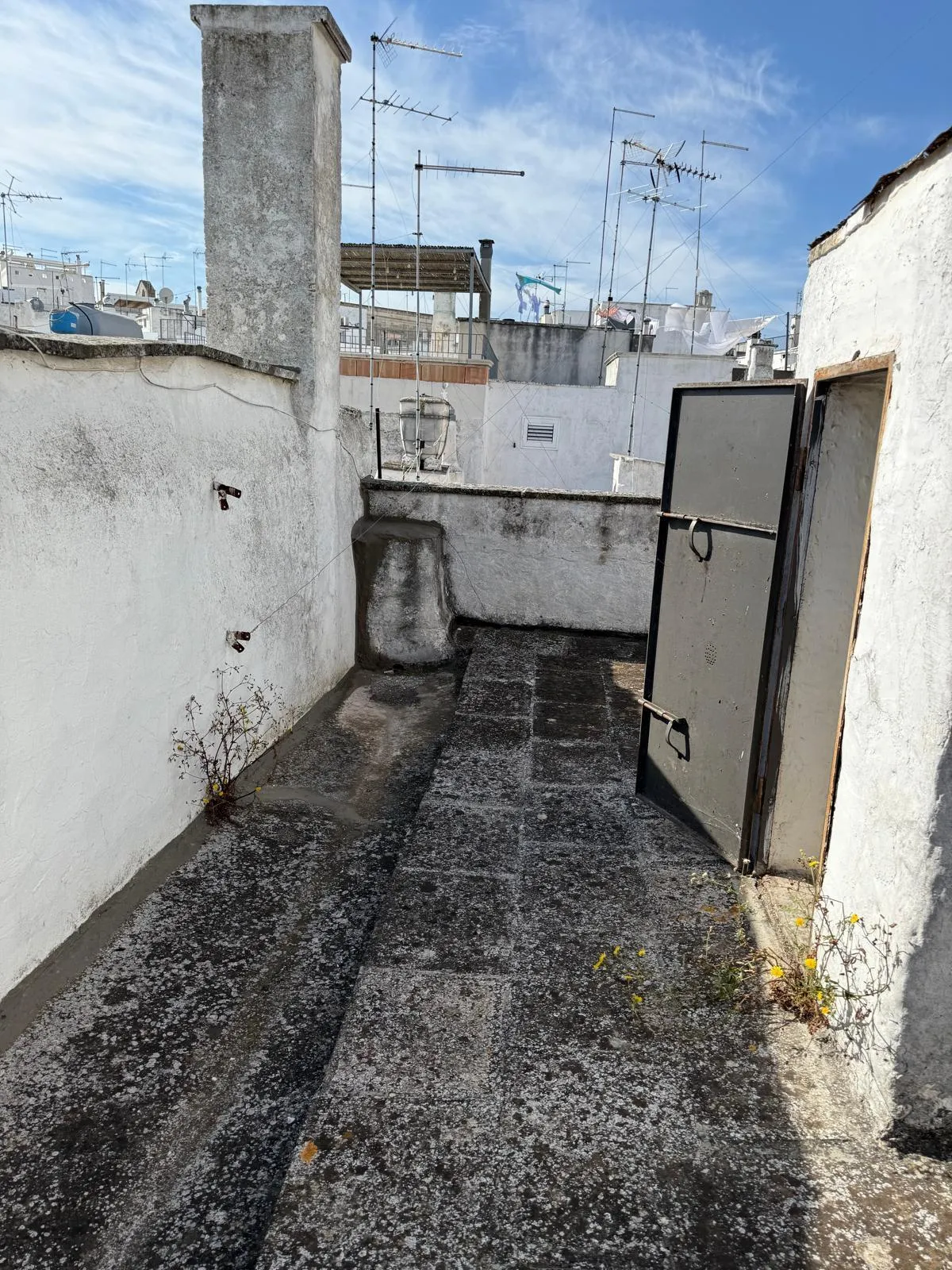 Foto 40 di 42 - Casa indipendente in vendita a Ostuni