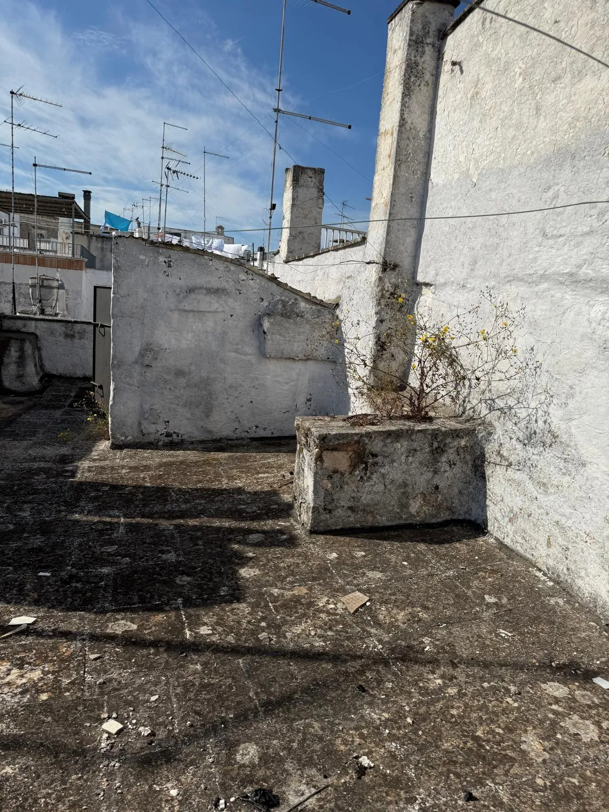 Foto 41 di 42 - Casa indipendente in vendita a Ostuni