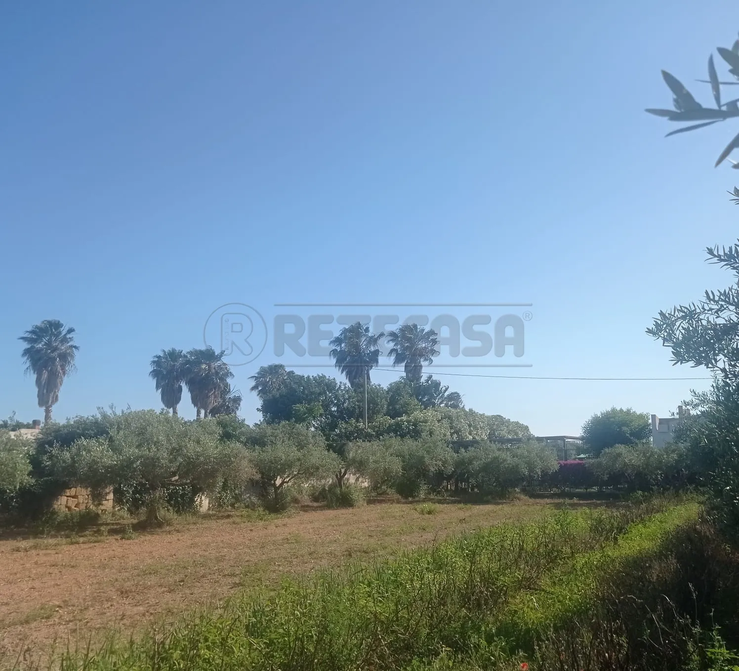 Foto 4 di 34 - Villa a schiera in vendita a Marsala