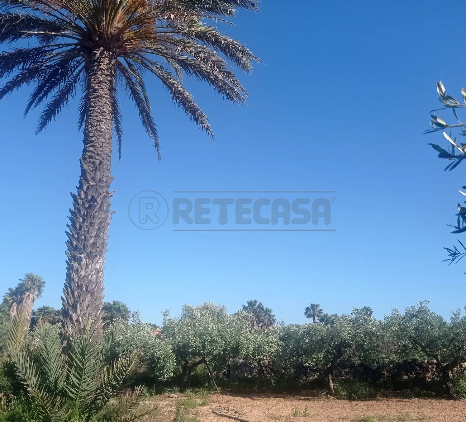 Foto 5 di 34 - Villa a schiera in vendita a Marsala