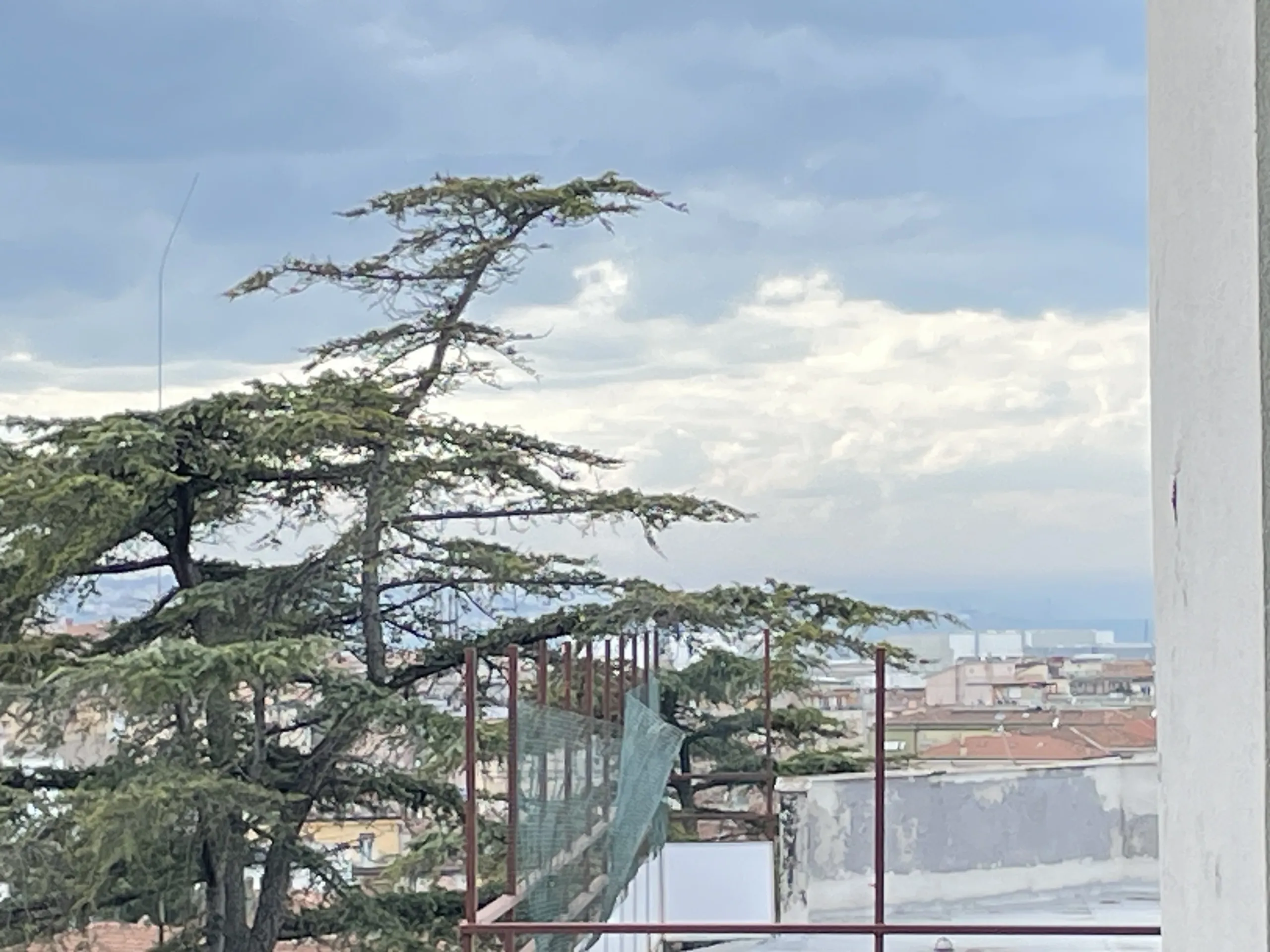 Foto 15 di 25 - Appartamento in vendita a Ancona
