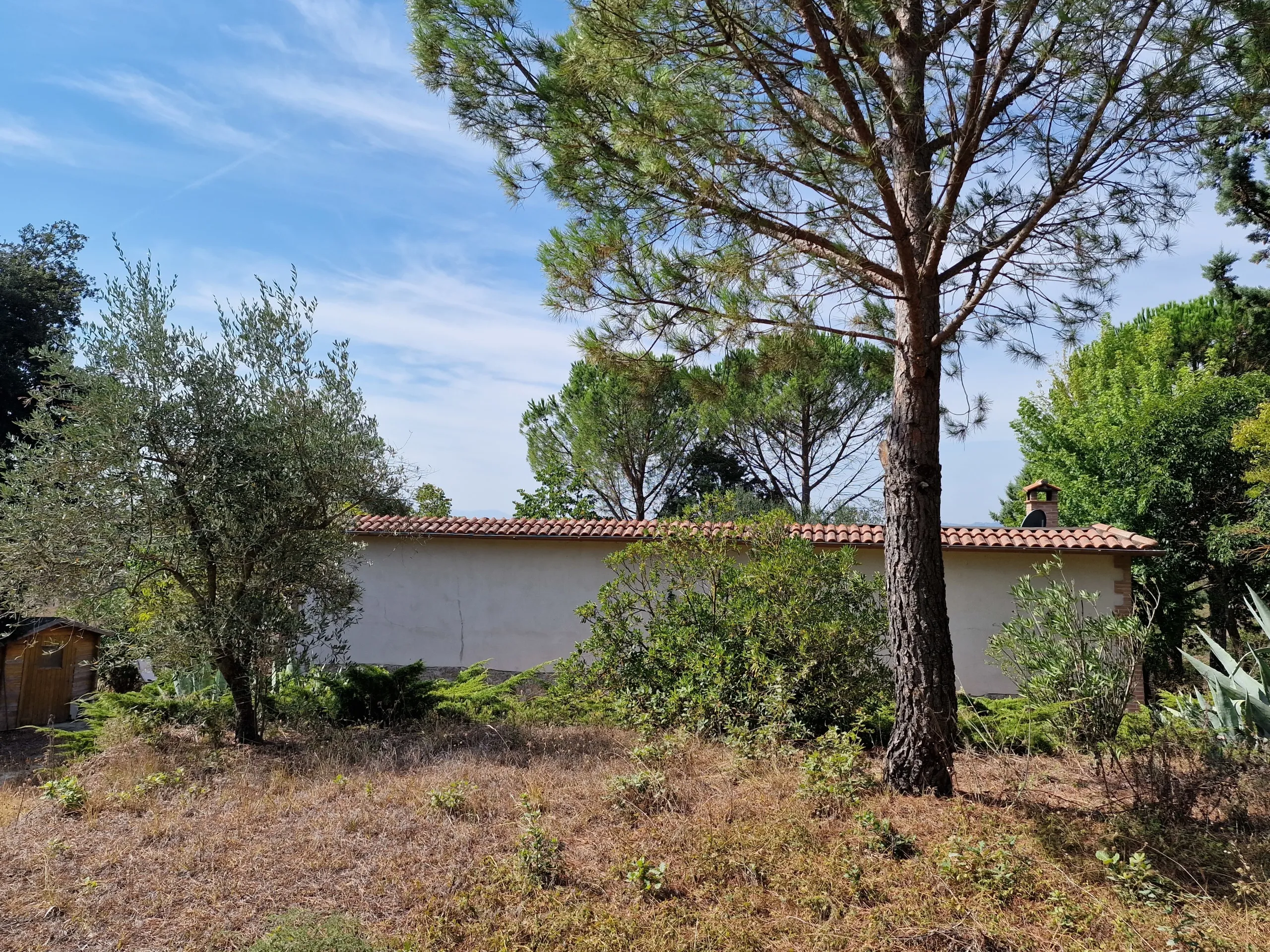Foto 43 di 69 - Casa indipendente in vendita a Montecchio