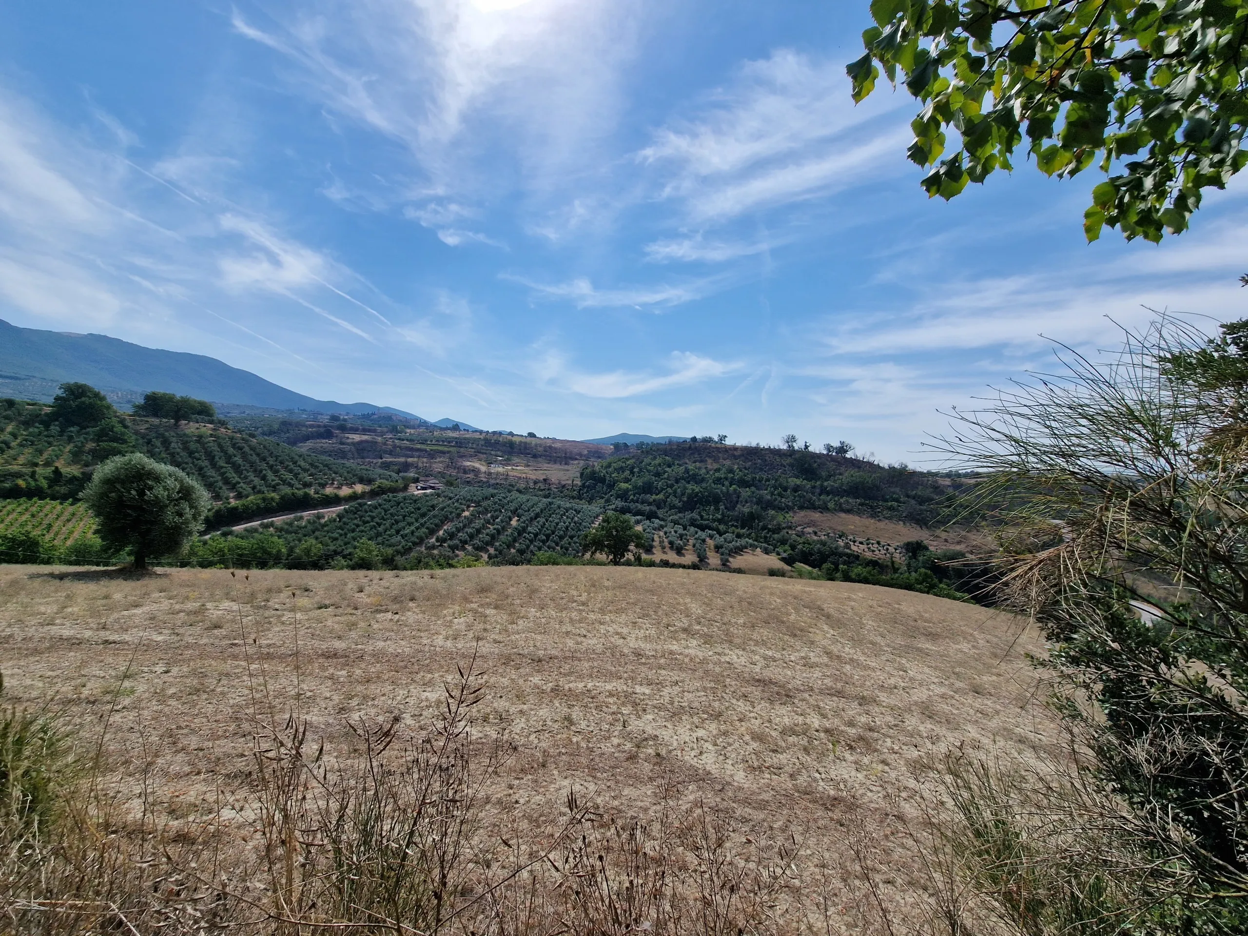 Foto 61 di 69 - Casa indipendente in vendita a Montecchio