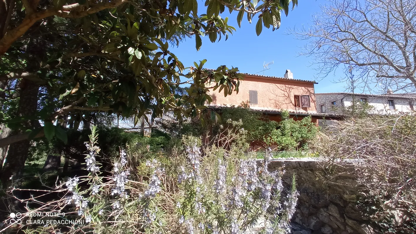 Foto 4 di 57 - Casa indipendente in vendita a Guardea