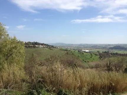 Foto 4 di 39 - Casa indipendente in vendita a Osimo