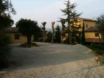 Foto 12 di 39 - Casa indipendente in vendita a Osimo