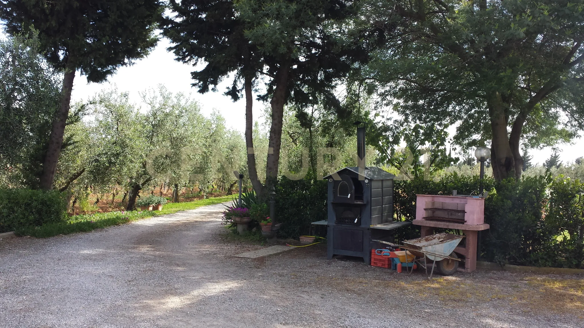 Foto 6 di 17 - Casa indipendente in vendita a Capalbio