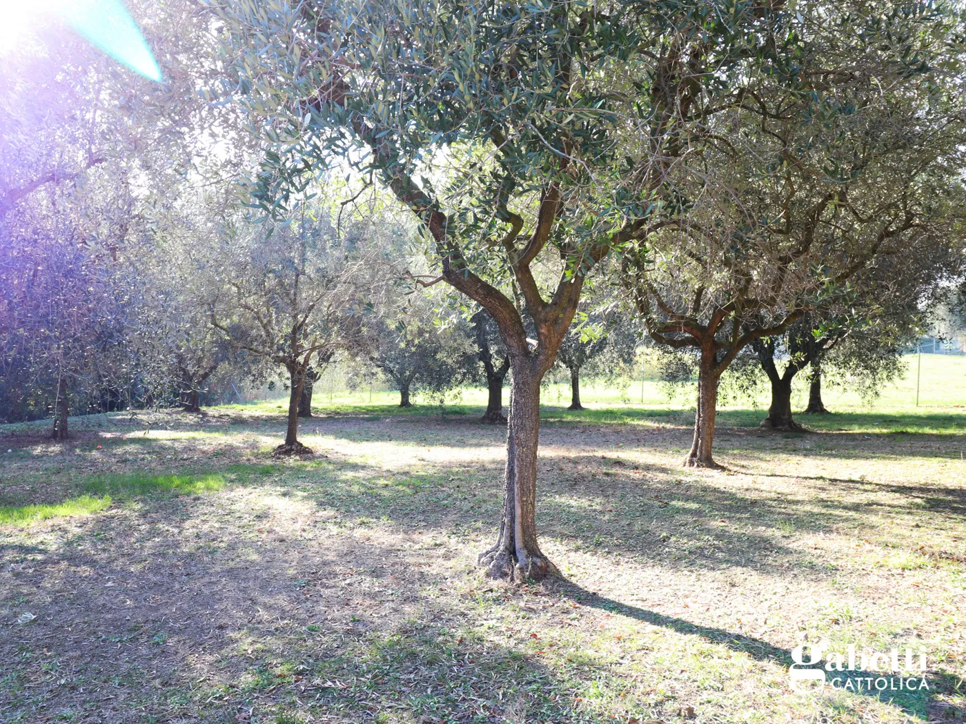 Foto 23 di 36 - Appartamento in vendita a Gradara