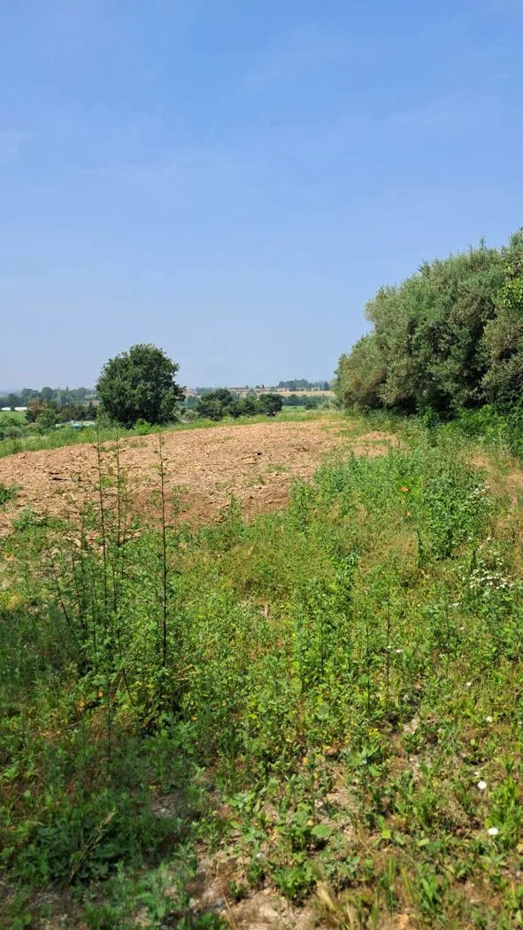 Foto 15 di 20 - Rustico in vendita a Castelnuovo del Garda