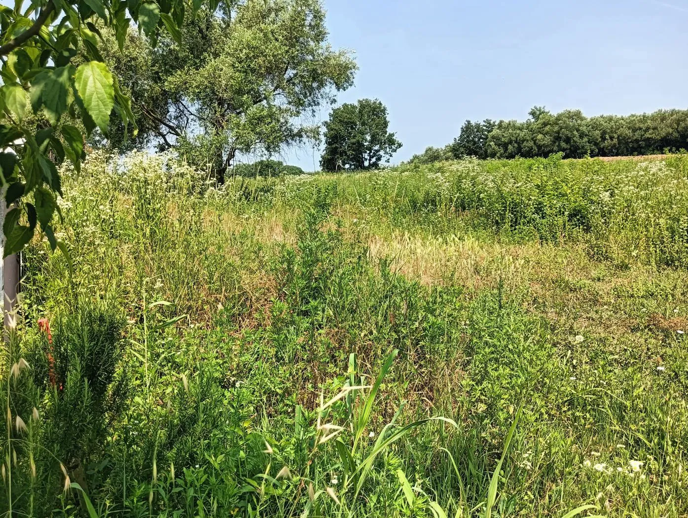 Foto 16 di 20 - Rustico in vendita a Castelnuovo del Garda