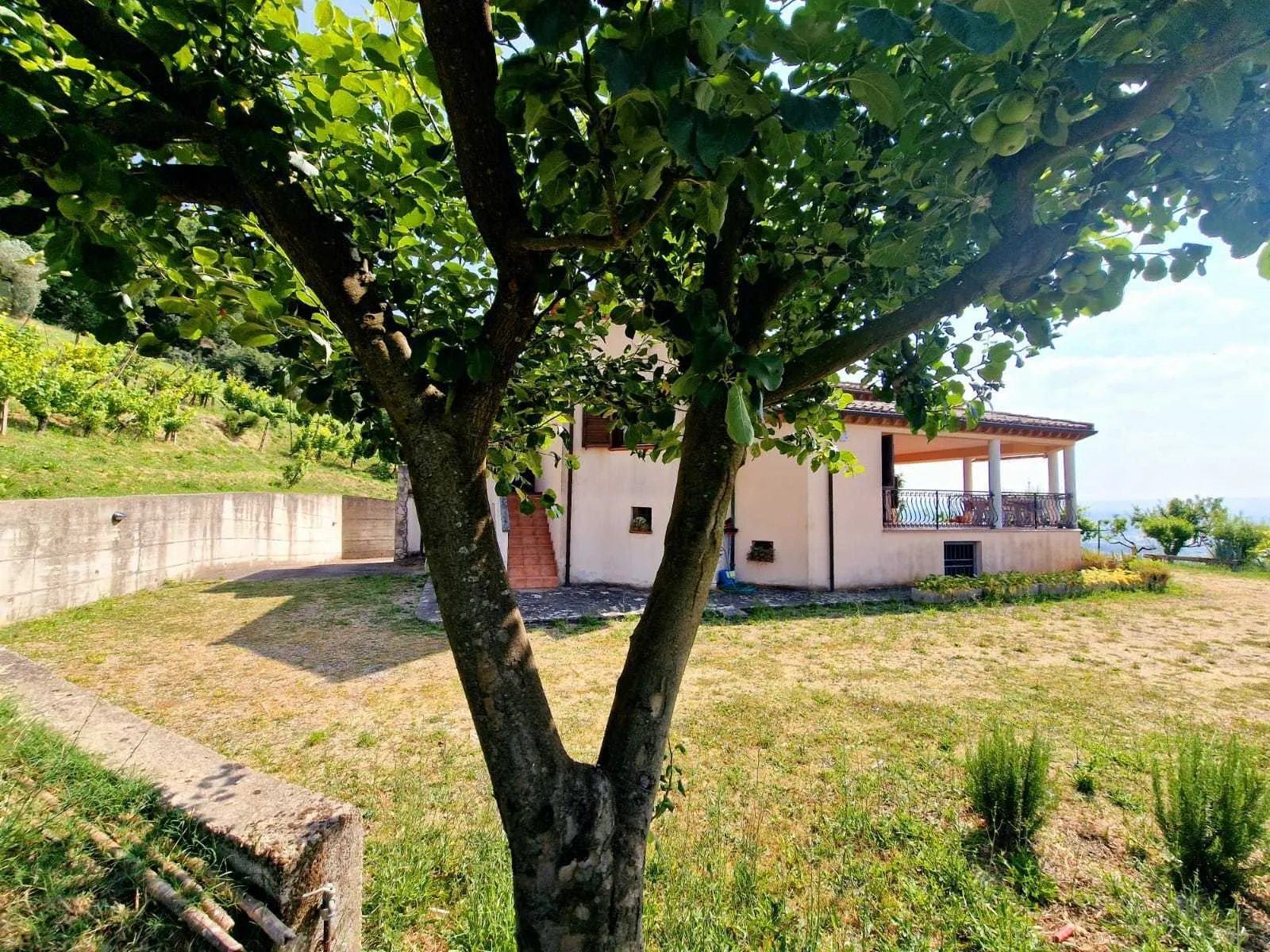 Foto 12 di 36 - Casa indipendente in vendita a Alviano