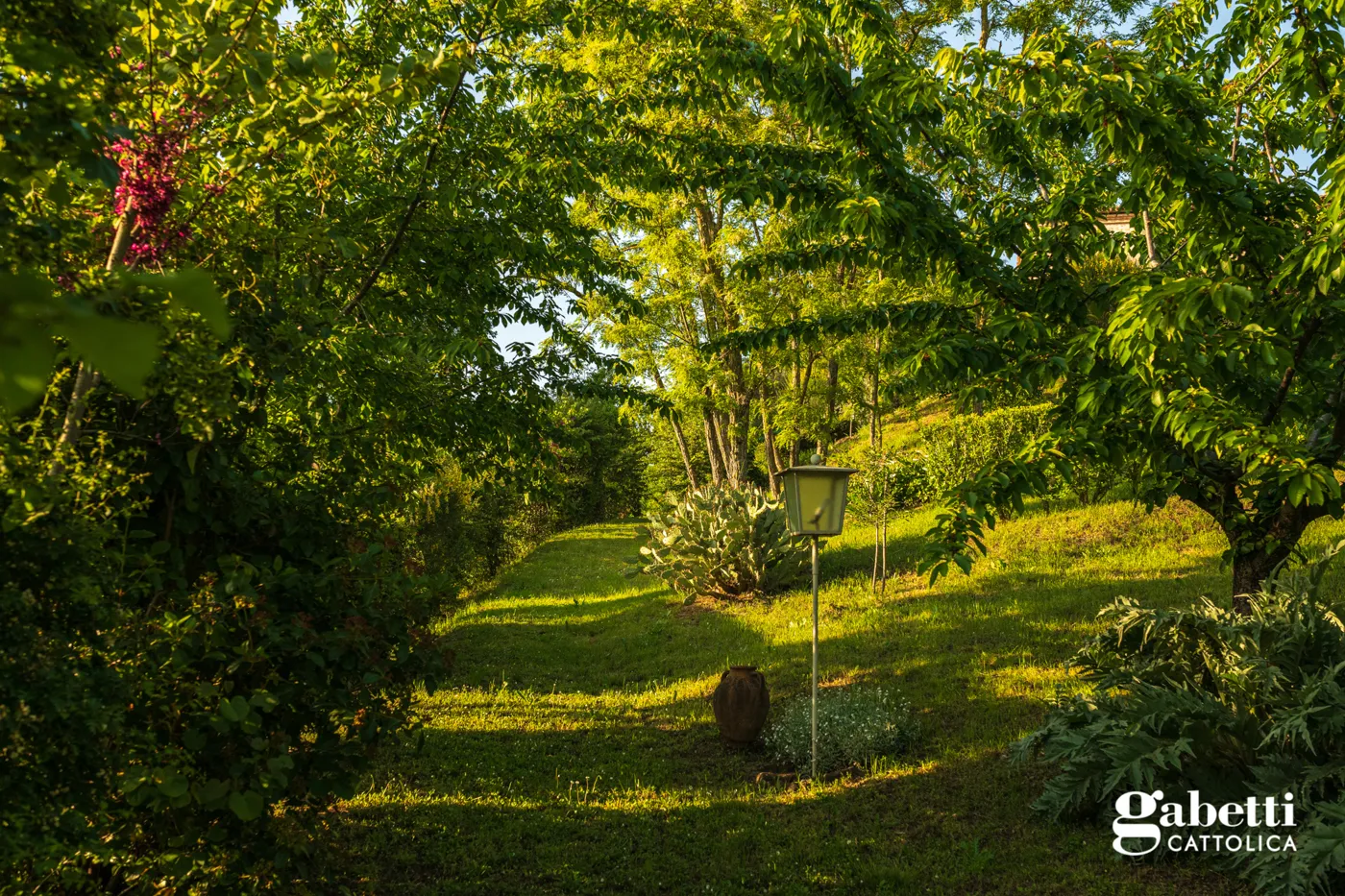Foto 46 di 47 - Villa in vendita a Tavoleto