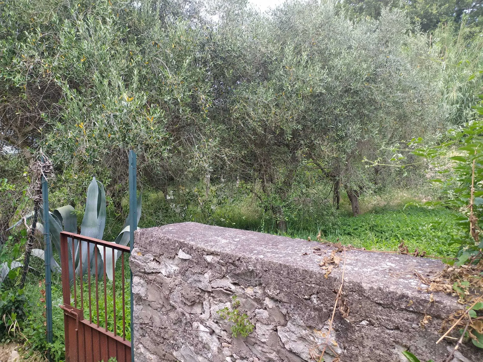 Foto 21 di 24 - Villa a schiera in vendita a Guardea