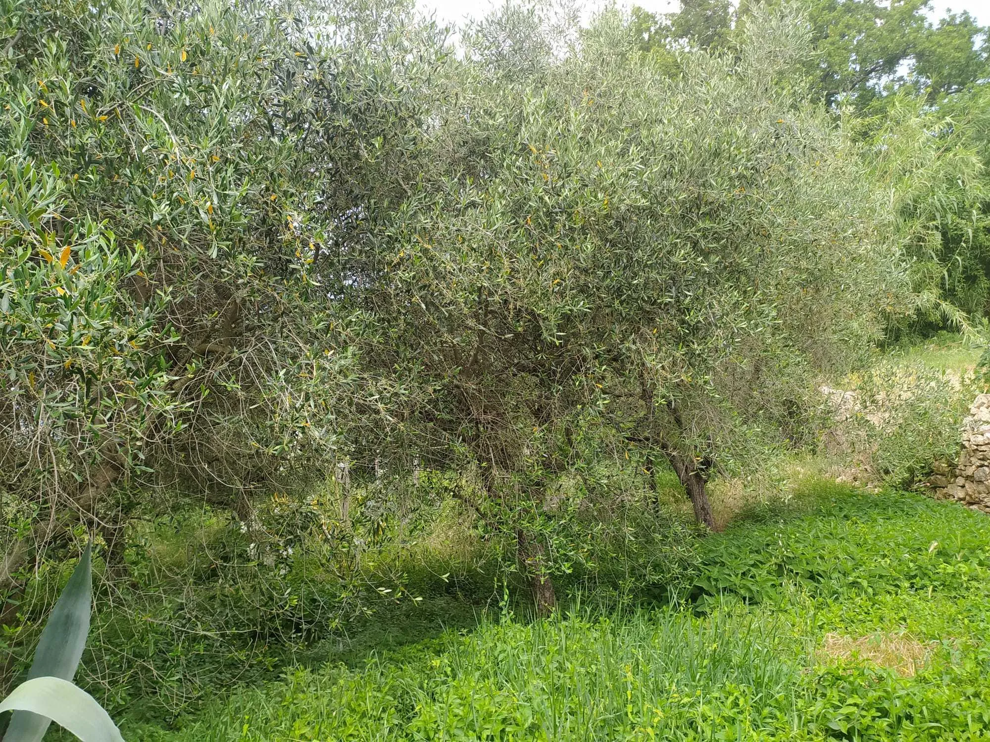 Foto 22 di 24 - Villa a schiera in vendita a Guardea