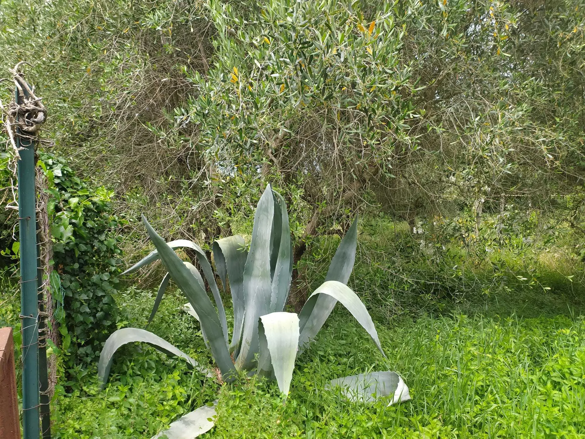 Foto 23 di 24 - Villa a schiera in vendita a Guardea