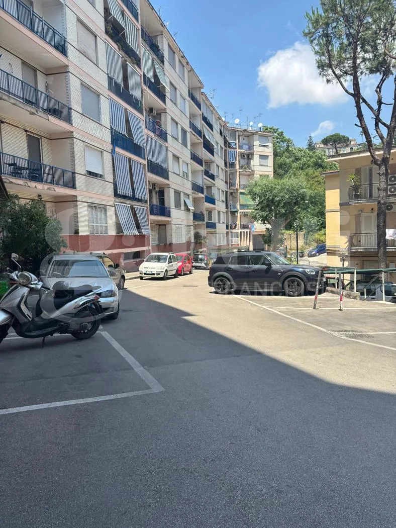 Foto 2 di 15 - Appartamento in affitto a Napoli