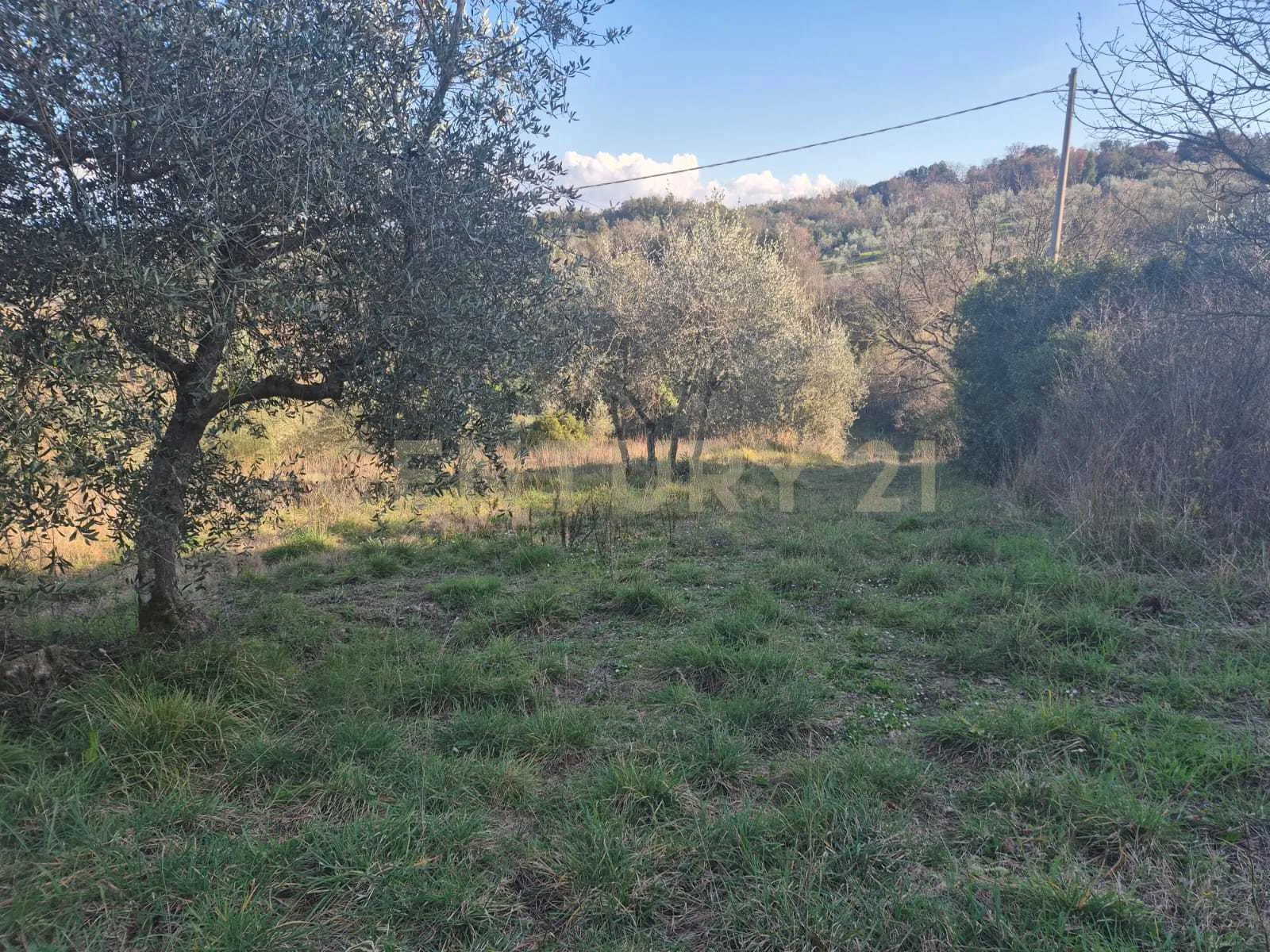 Foto 2 di 11 - Casa indipendente in vendita a Civitella Paganico