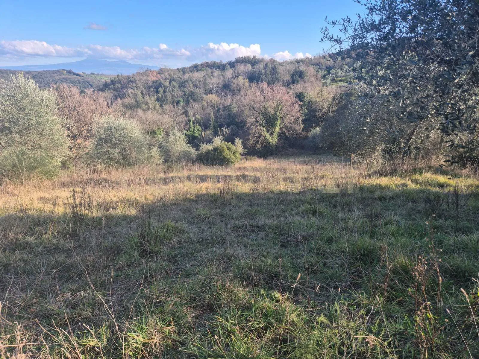 Foto 3 di 11 - Casa indipendente in vendita a Civitella Paganico