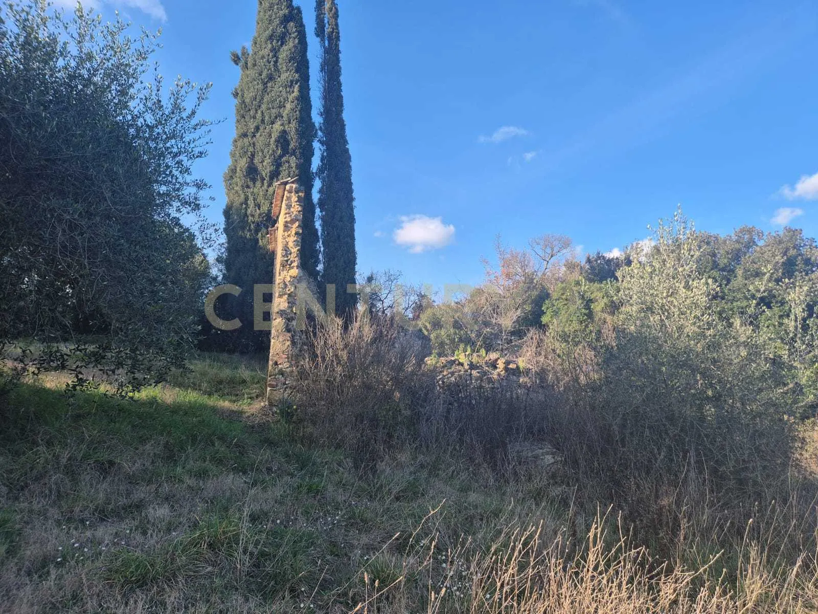 Foto 4 di 11 - Casa indipendente in vendita a Civitella Paganico