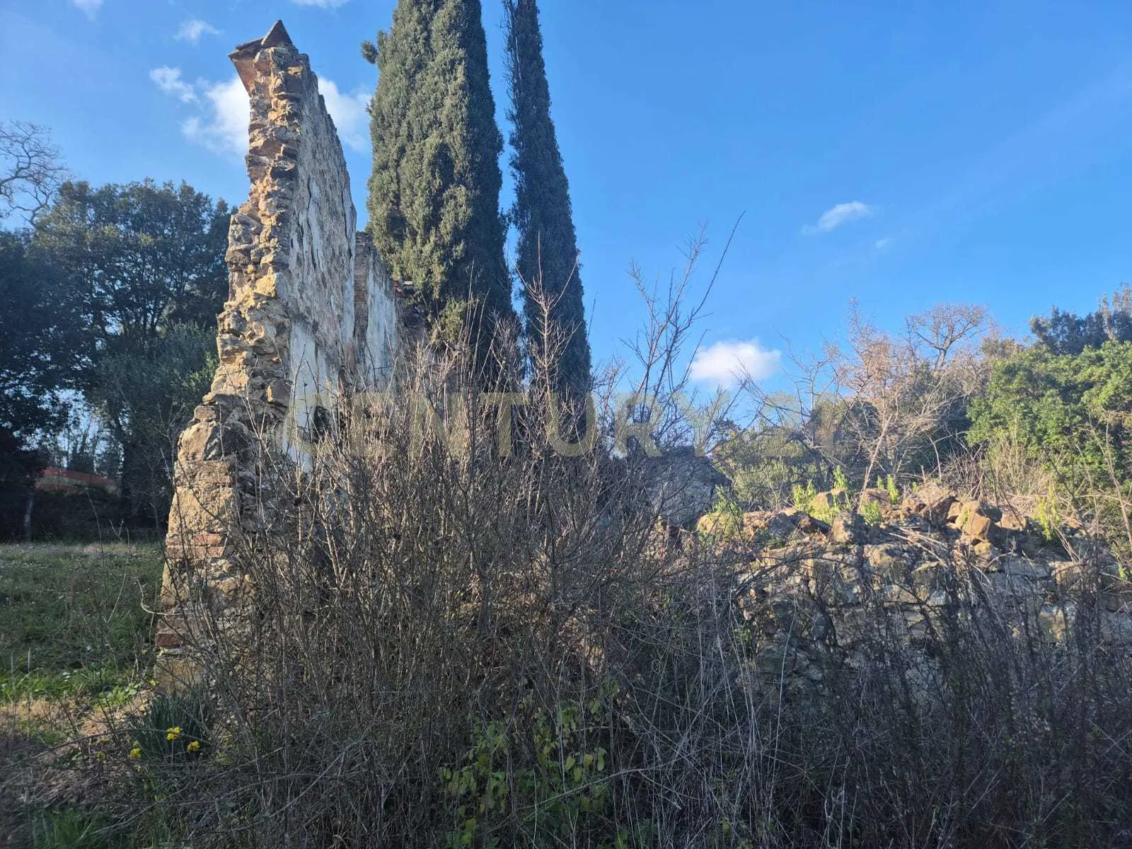 Foto 5 di 11 - Casa indipendente in vendita a Civitella Paganico