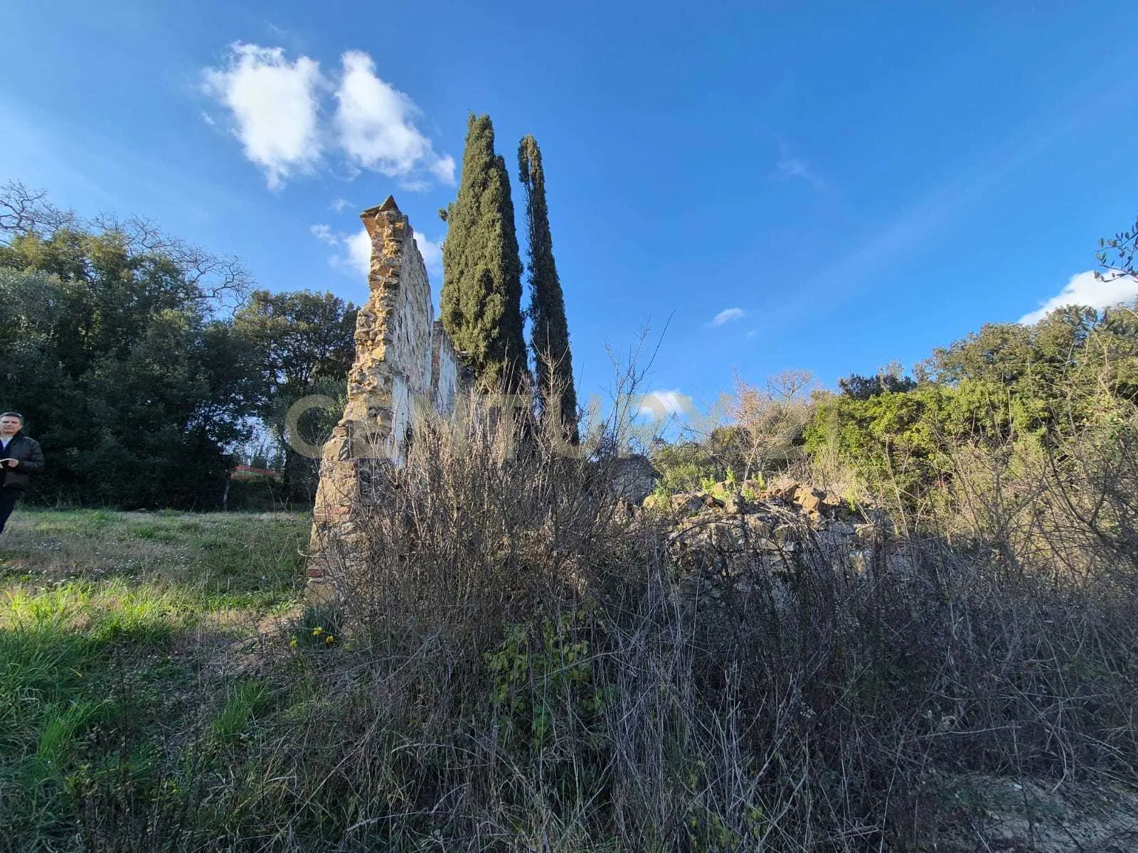 Foto 6 di 11 - Casa indipendente in vendita a Civitella Paganico