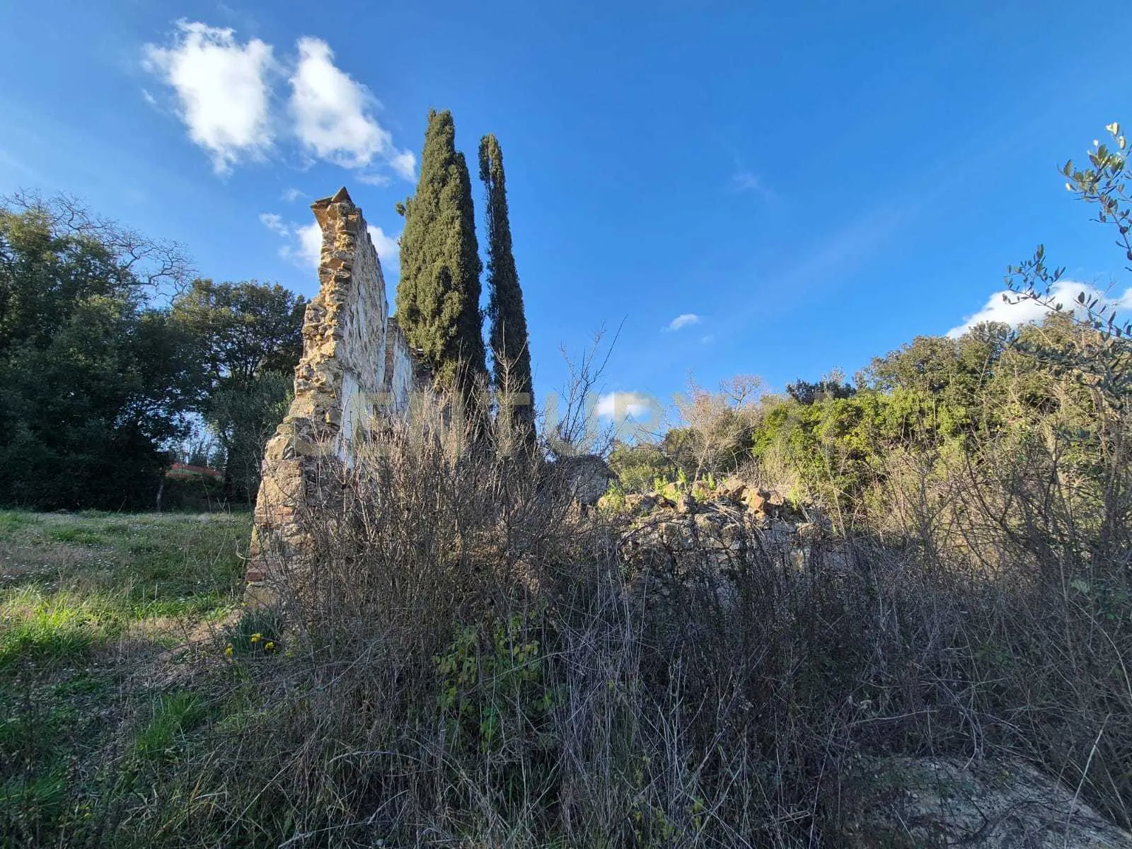 Foto 7 di 11 - Casa indipendente in vendita a Civitella Paganico