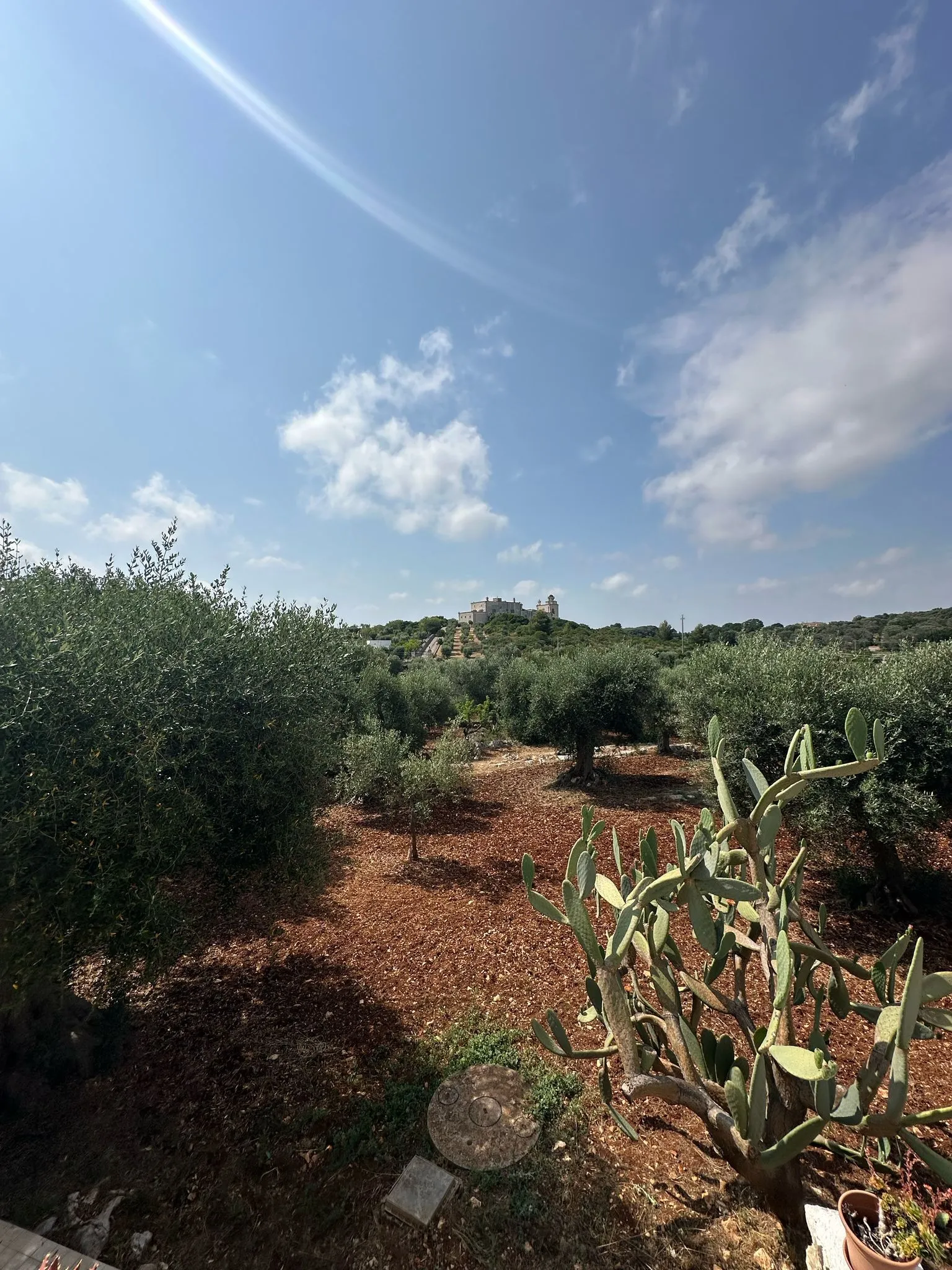 Foto 30 di 47 - Casa indipendente in vendita a Ostuni