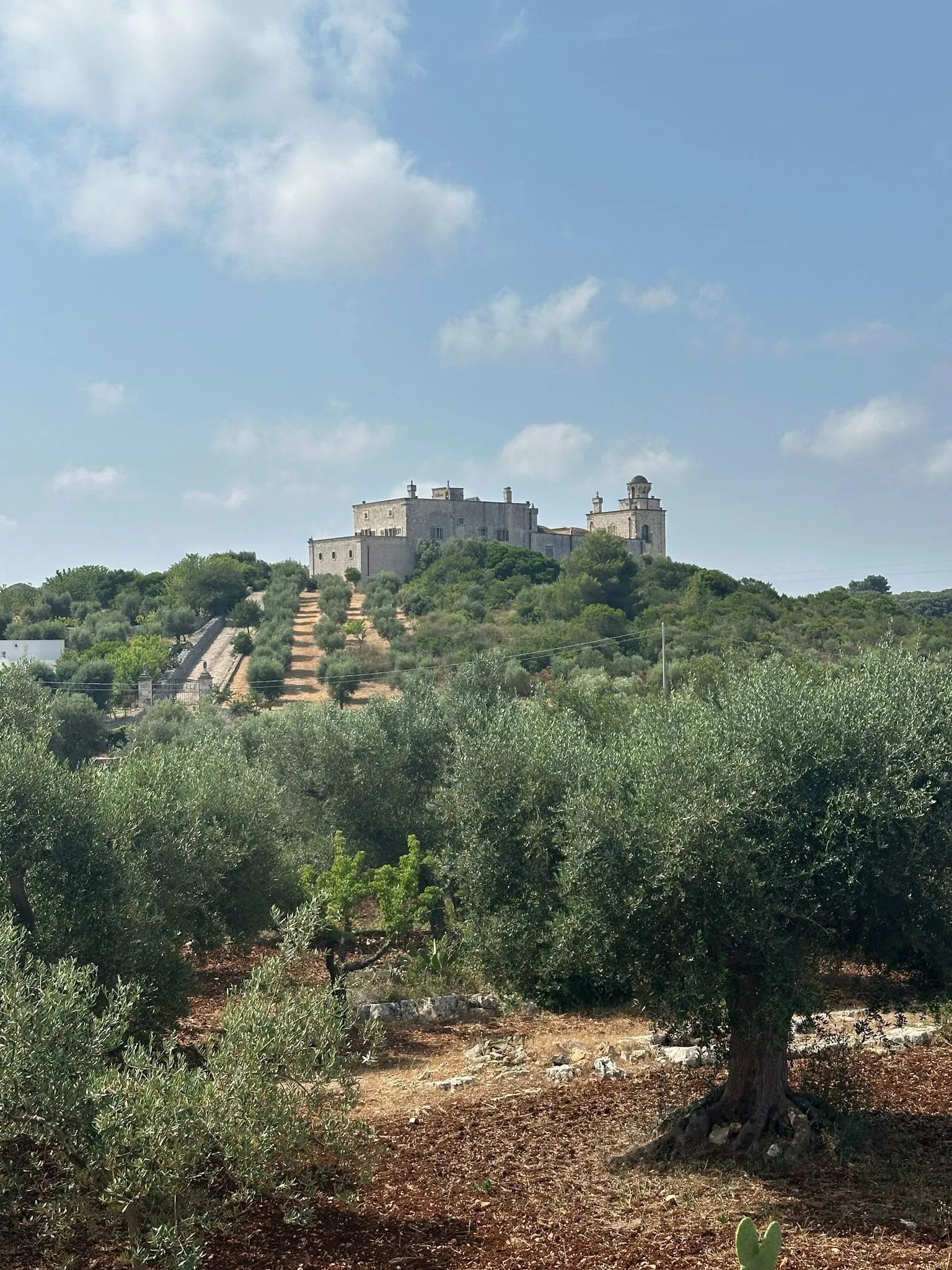 Foto 35 di 47 - Casa indipendente in vendita a Ostuni
