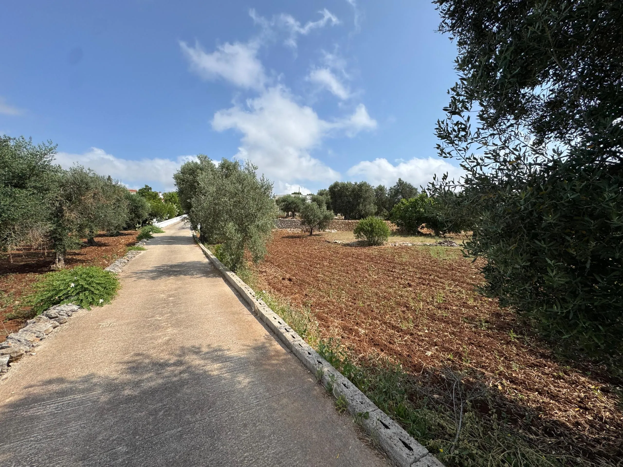 Foto 38 di 47 - Casa indipendente in vendita a Ostuni