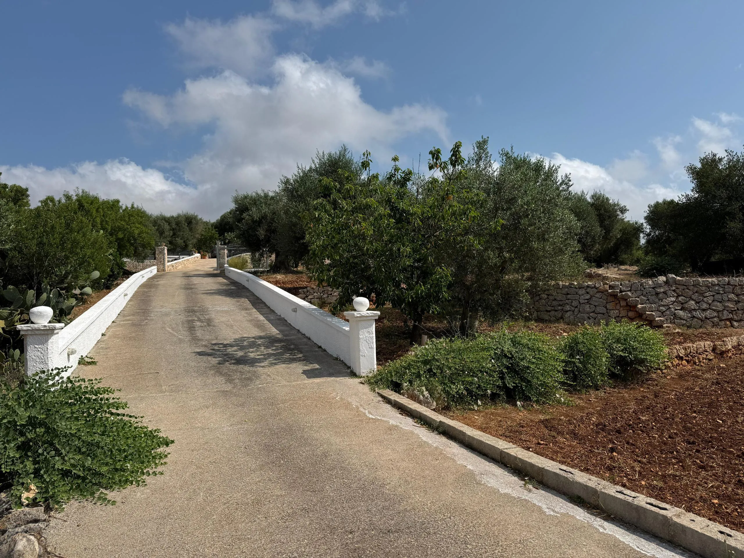 Foto 39 di 47 - Casa indipendente in vendita a Ostuni