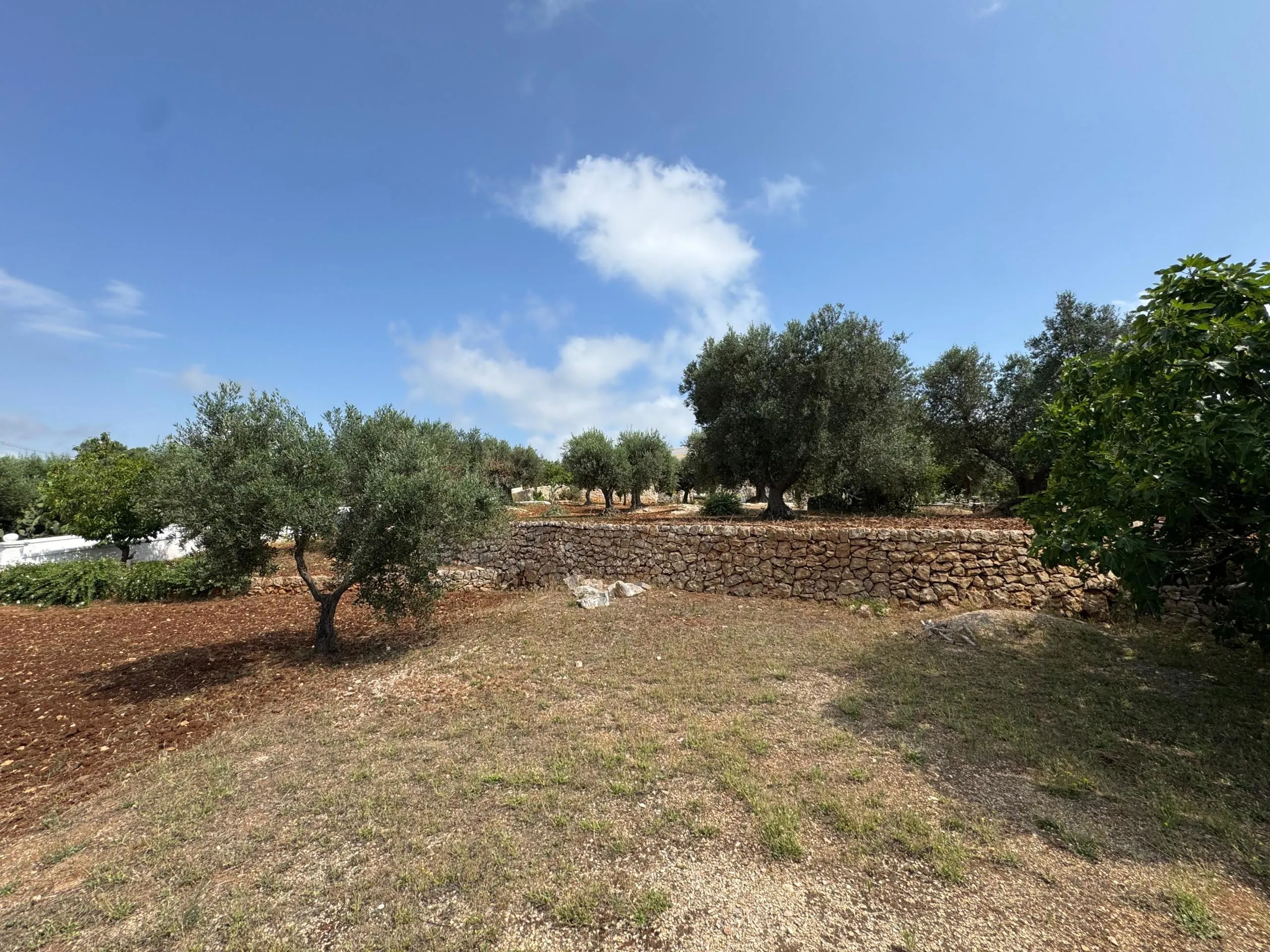 Foto 40 di 47 - Casa indipendente in vendita a Ostuni