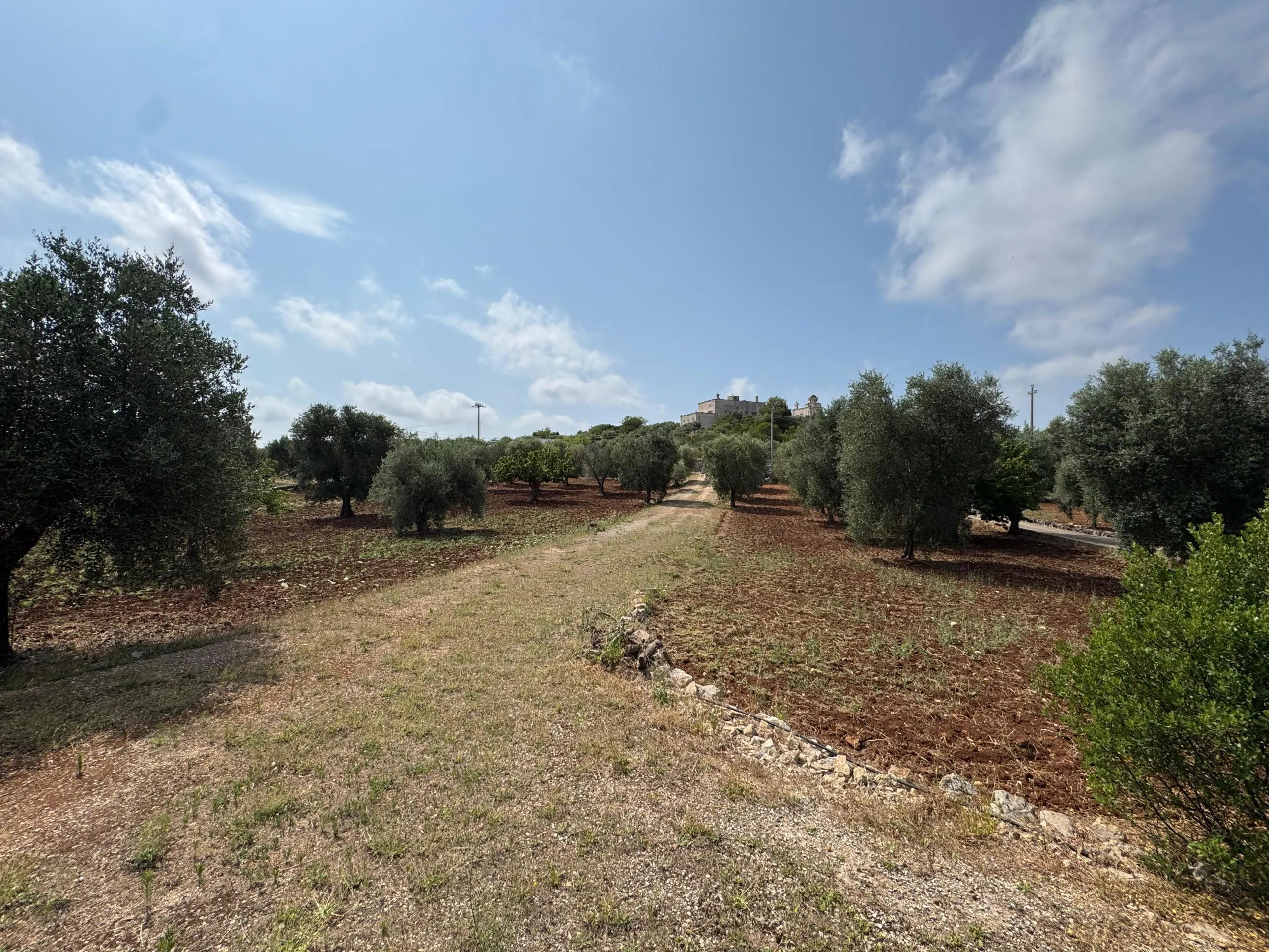 Foto 41 di 47 - Casa indipendente in vendita a Ostuni