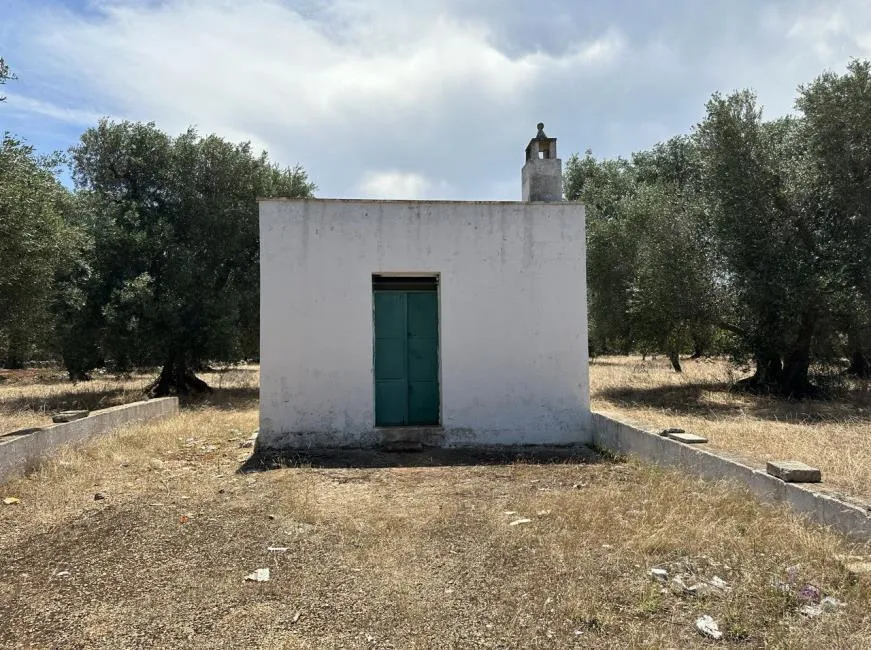 Foto 2 di 15 - Terreno edificabile in vendita a Ostuni