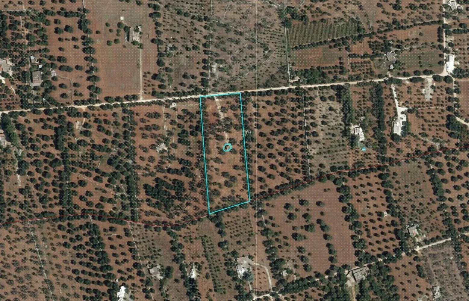 Foto 4 di 15 - Terreno edificabile in vendita a Ostuni