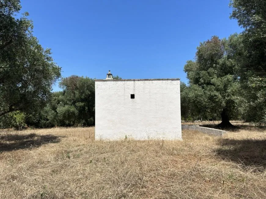 Foto 5 di 15 - Terreno edificabile in vendita a Ostuni