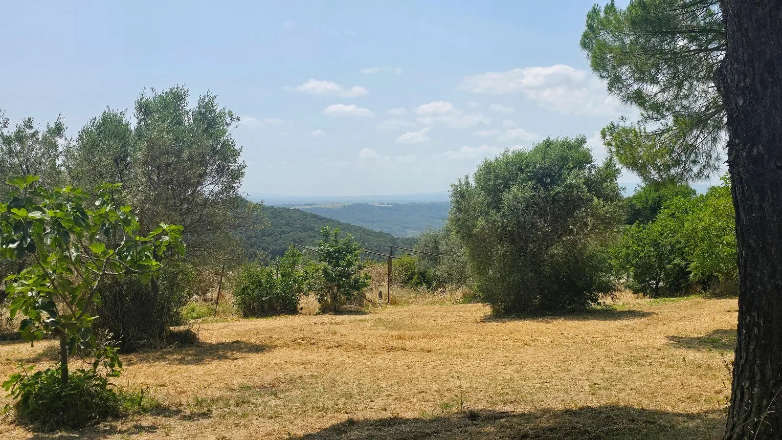 Foto 15 di 54 - Casa indipendente in vendita a Narni