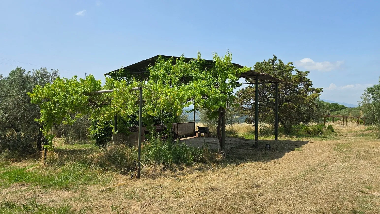 Foto 50 di 54 - Casa indipendente in vendita a Narni