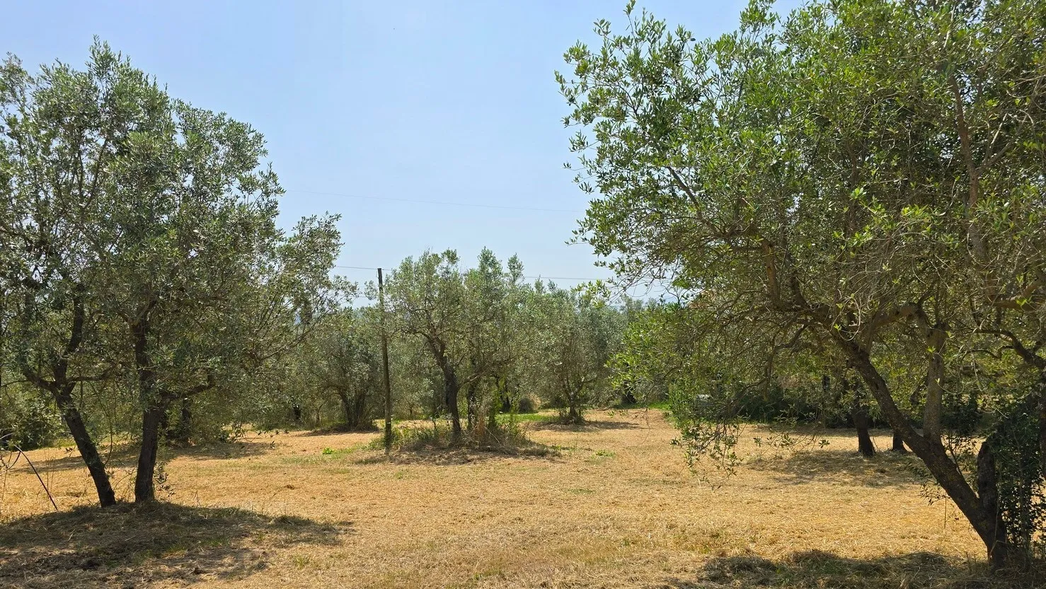 Foto 53 di 54 - Casa indipendente in vendita a Narni