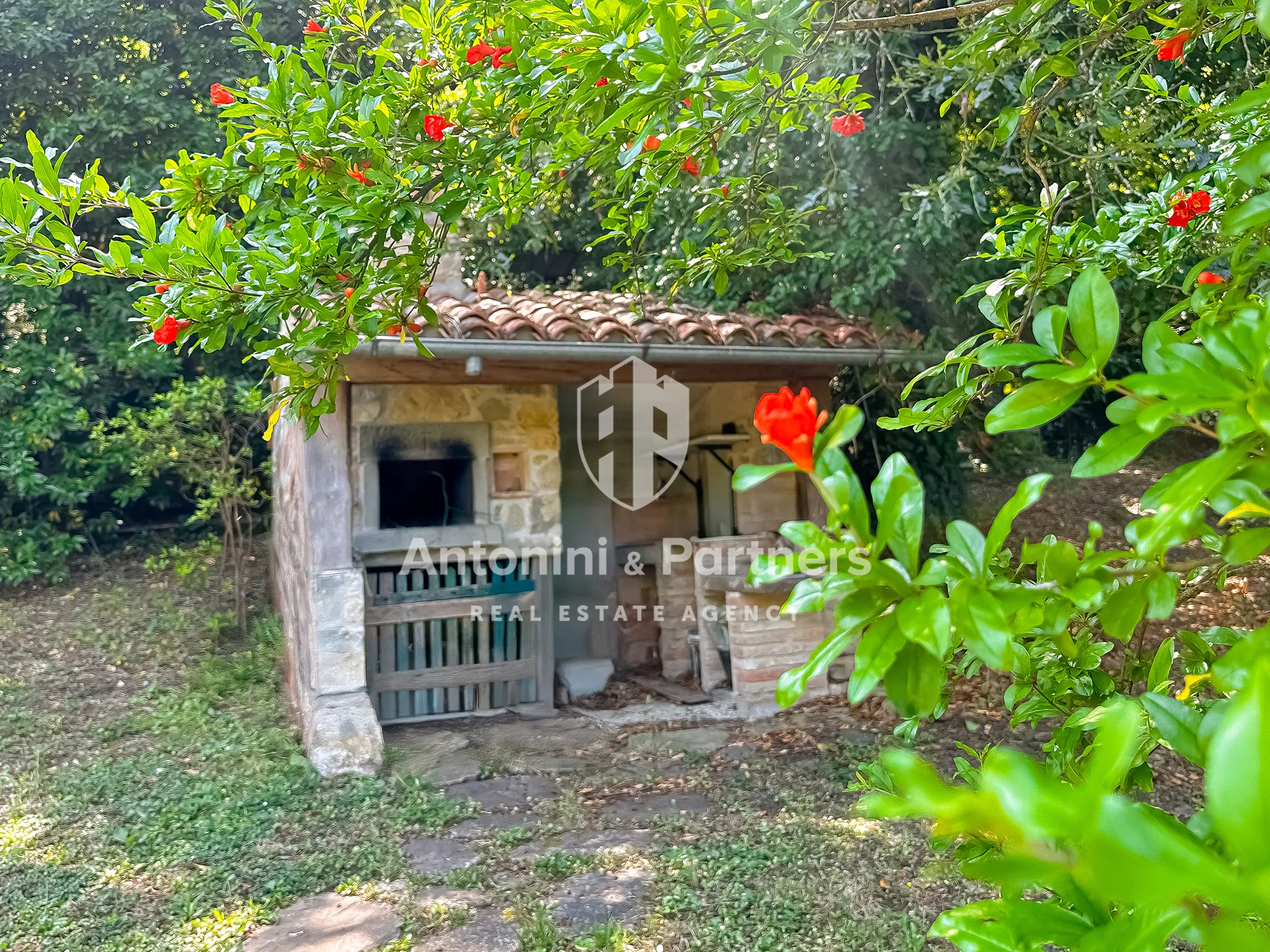 Foto 4 di 35 - Casa indipendente in vendita a Todi
