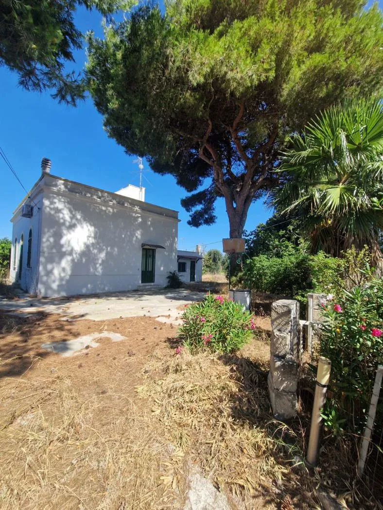Foto 7 di 31 - Villa in vendita a Brindisi