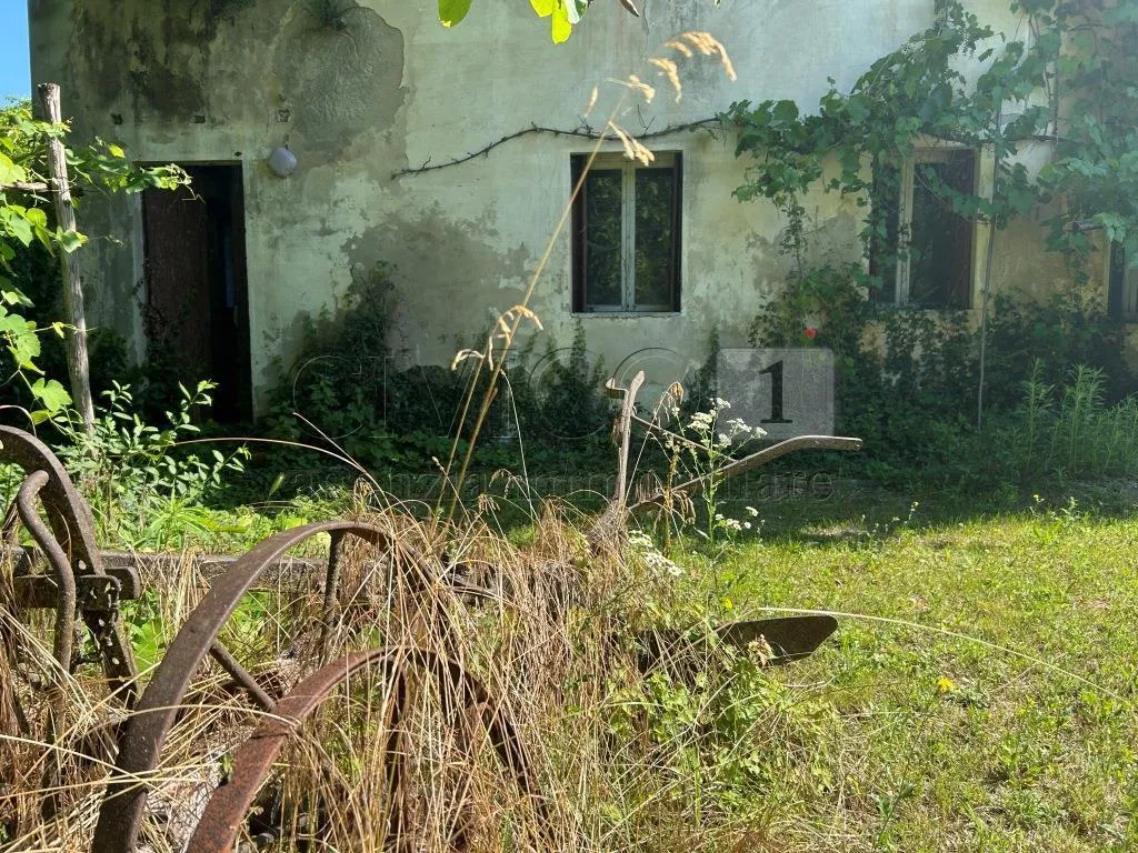 Foto 5 di 30 - Casa indipendente in vendita a Barbarano Mossano