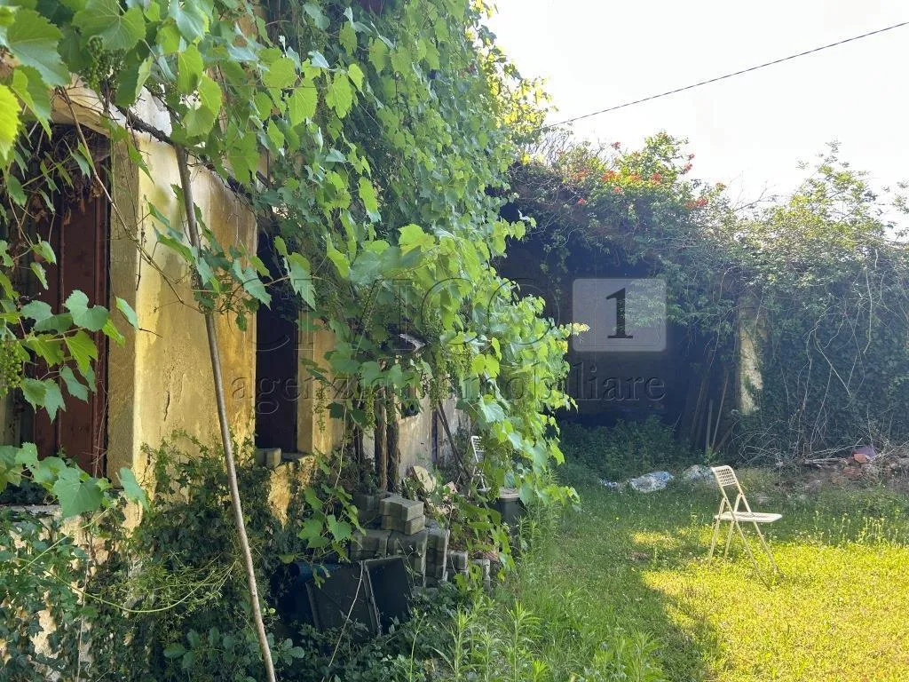 Foto 9 di 30 - Casa indipendente in vendita a Barbarano Mossano