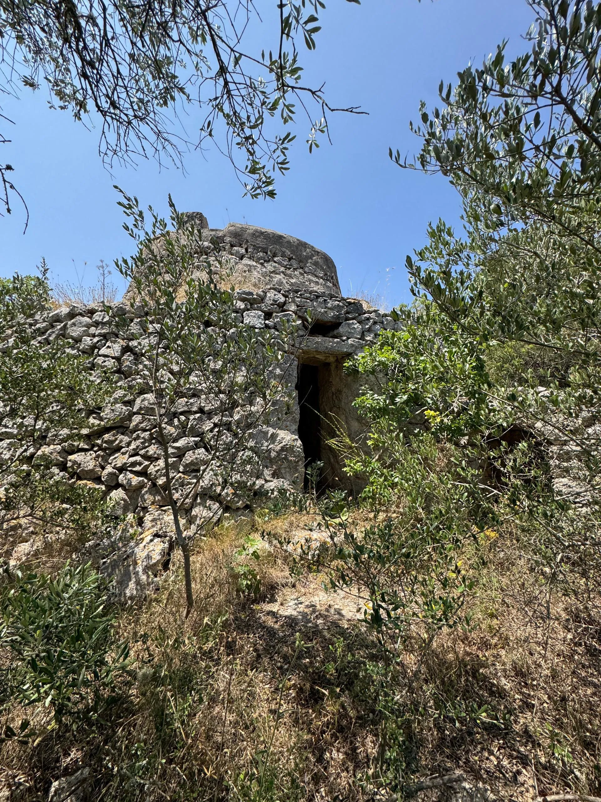 Foto 6 di 49 - Casa indipendente in vendita a Ostuni