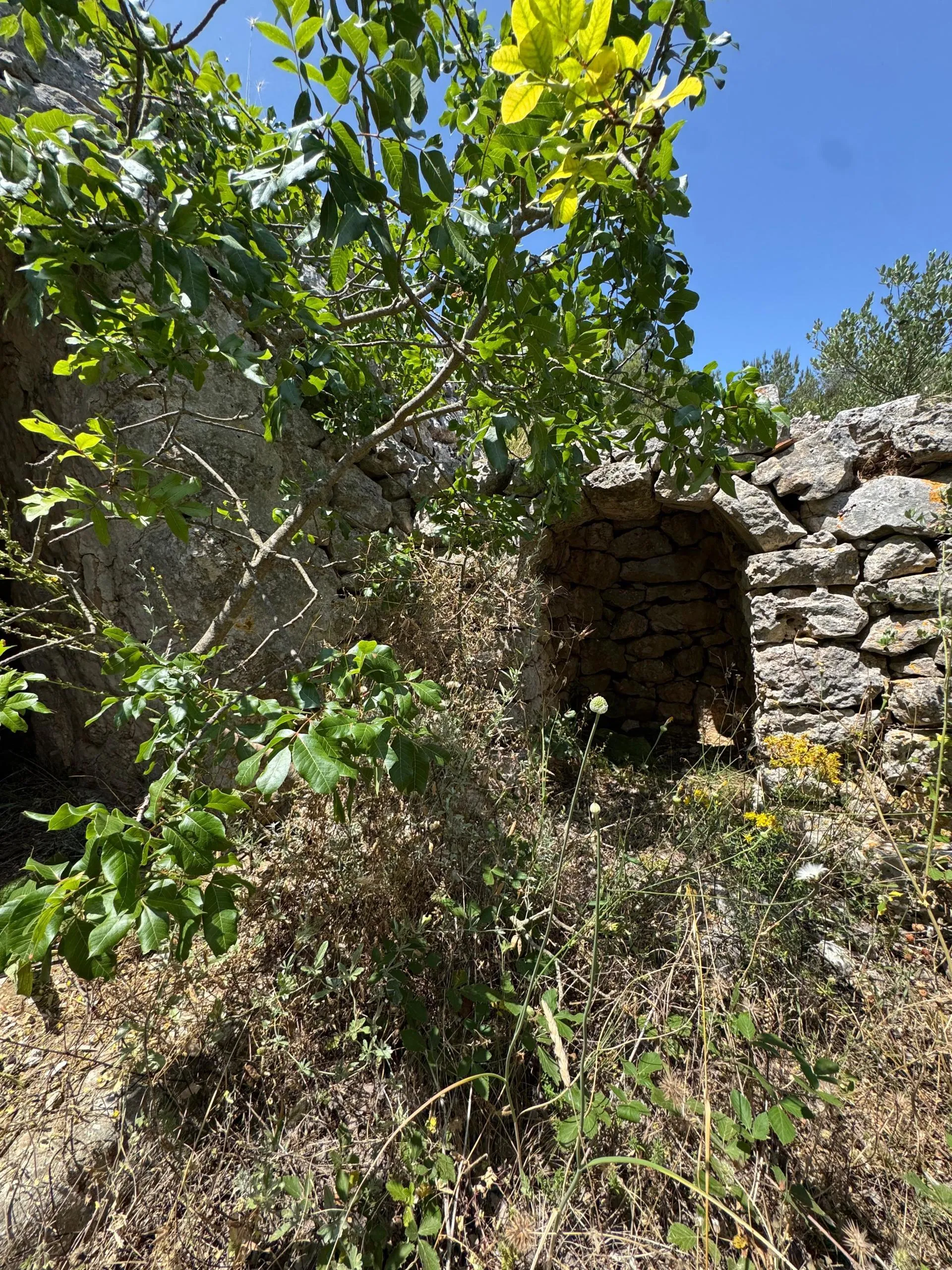 Foto 7 di 49 - Casa indipendente in vendita a Ostuni